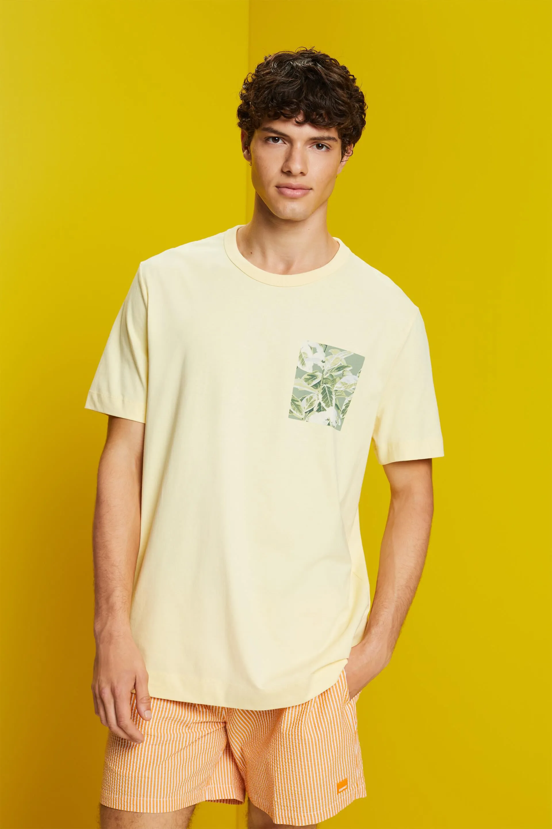 Camiseta de tejido jersey con estampado, 100% algodón