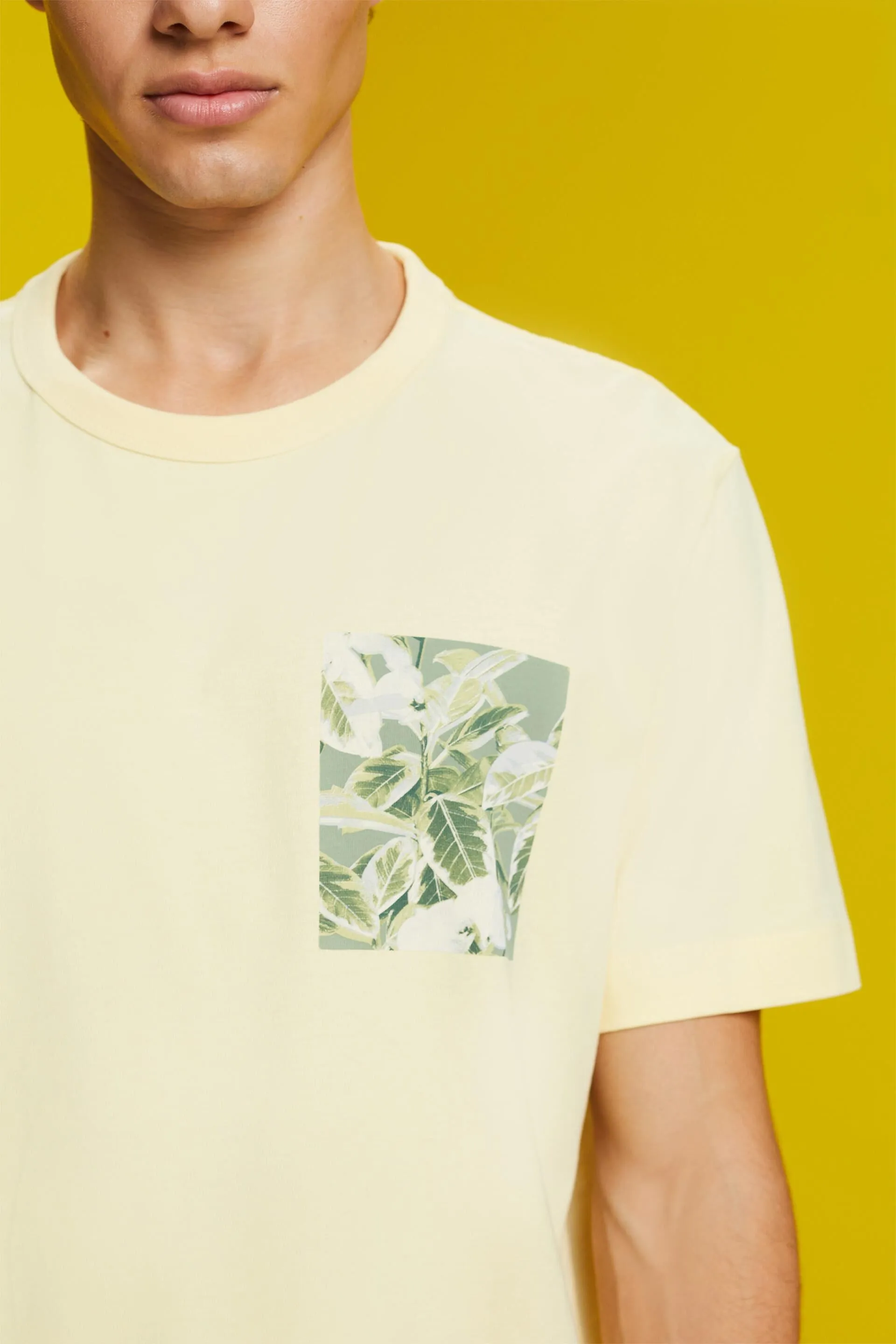 Camiseta de tejido jersey con estampado, 100% algodón
