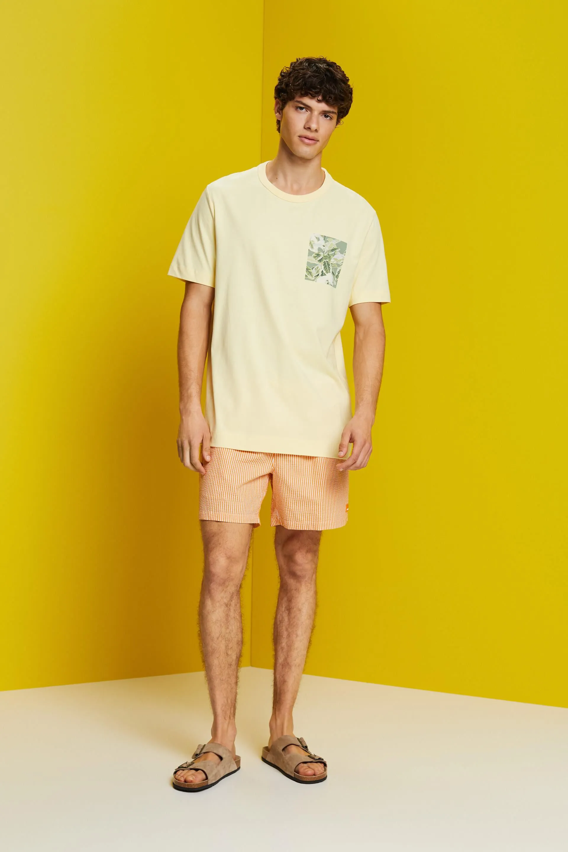 Camiseta de tejido jersey con estampado, 100% algodón