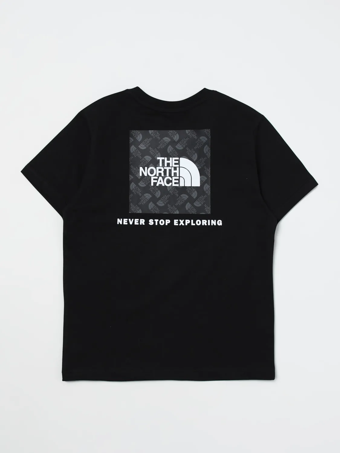Camiseta niños The North Face