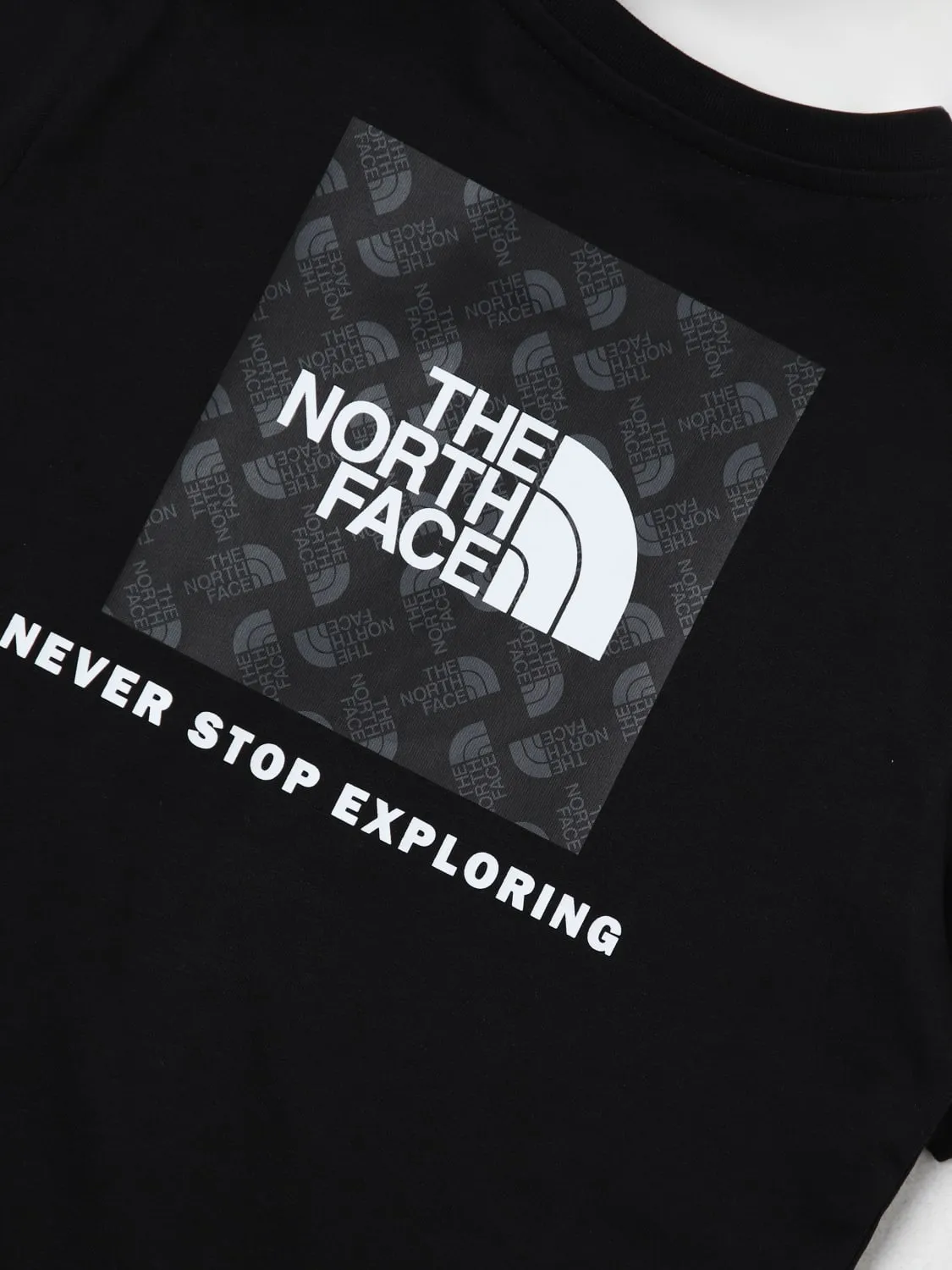 Camiseta niños The North Face