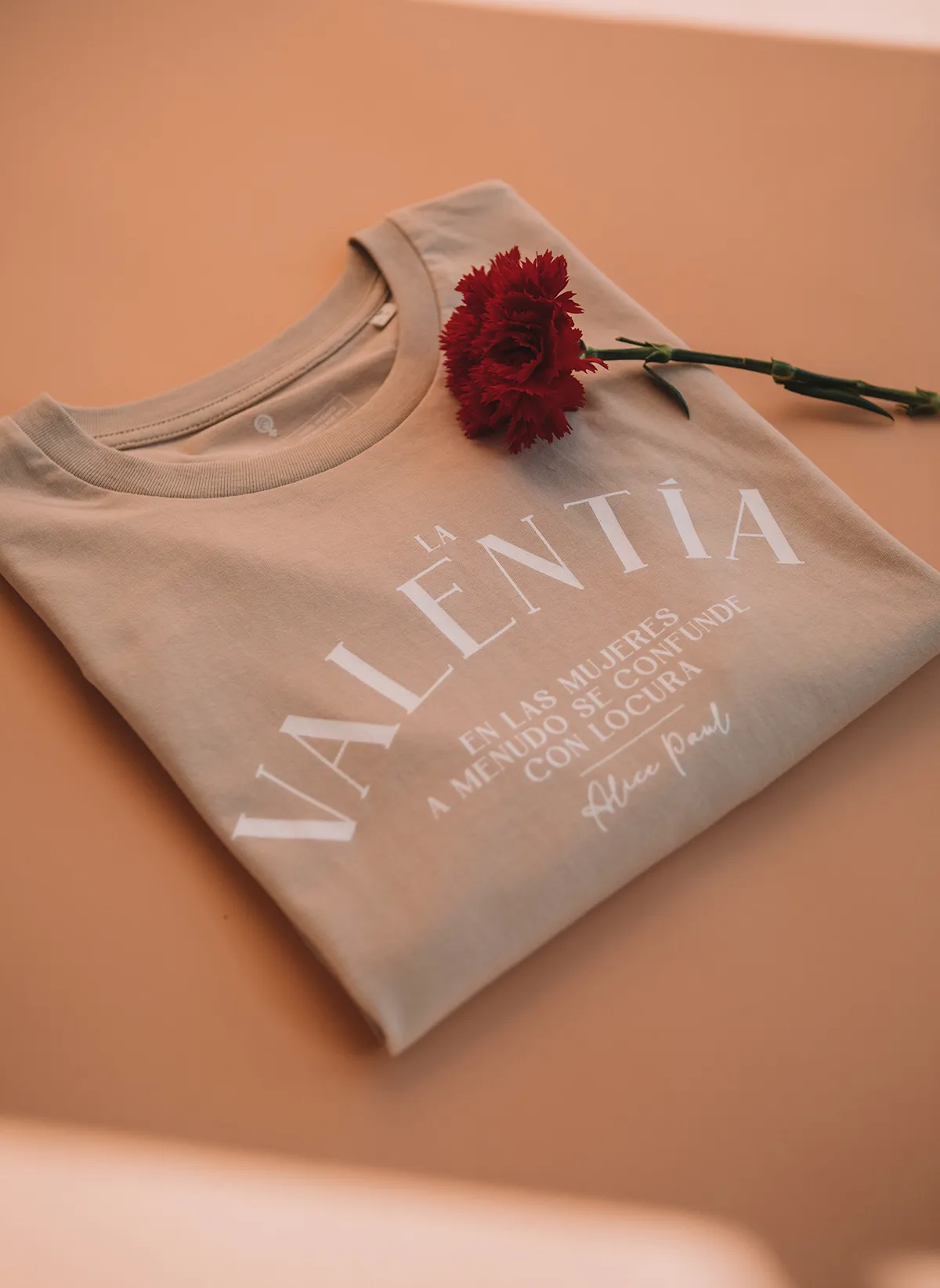 La valentía en las mujeres a menudo se confunde con locura  Alice Paul
