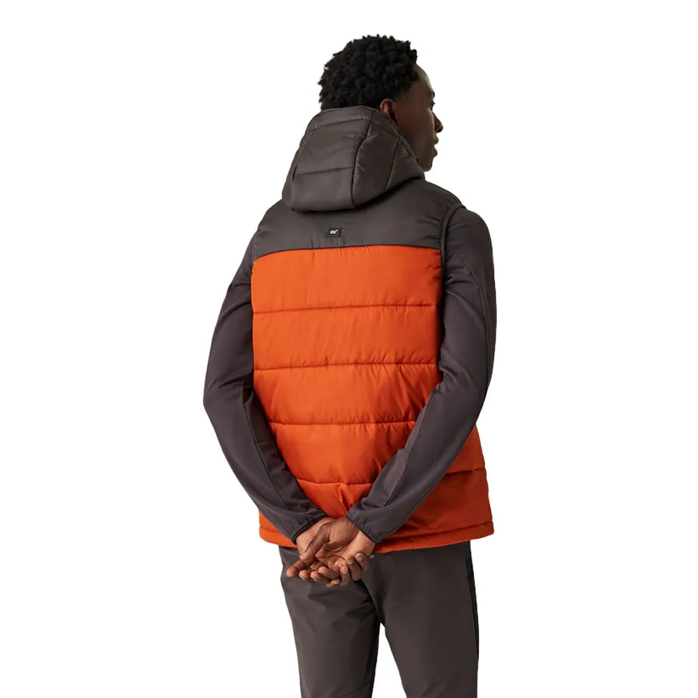 REGATTA NEVADO HEAVYWEIGHT CHALECO  AW23