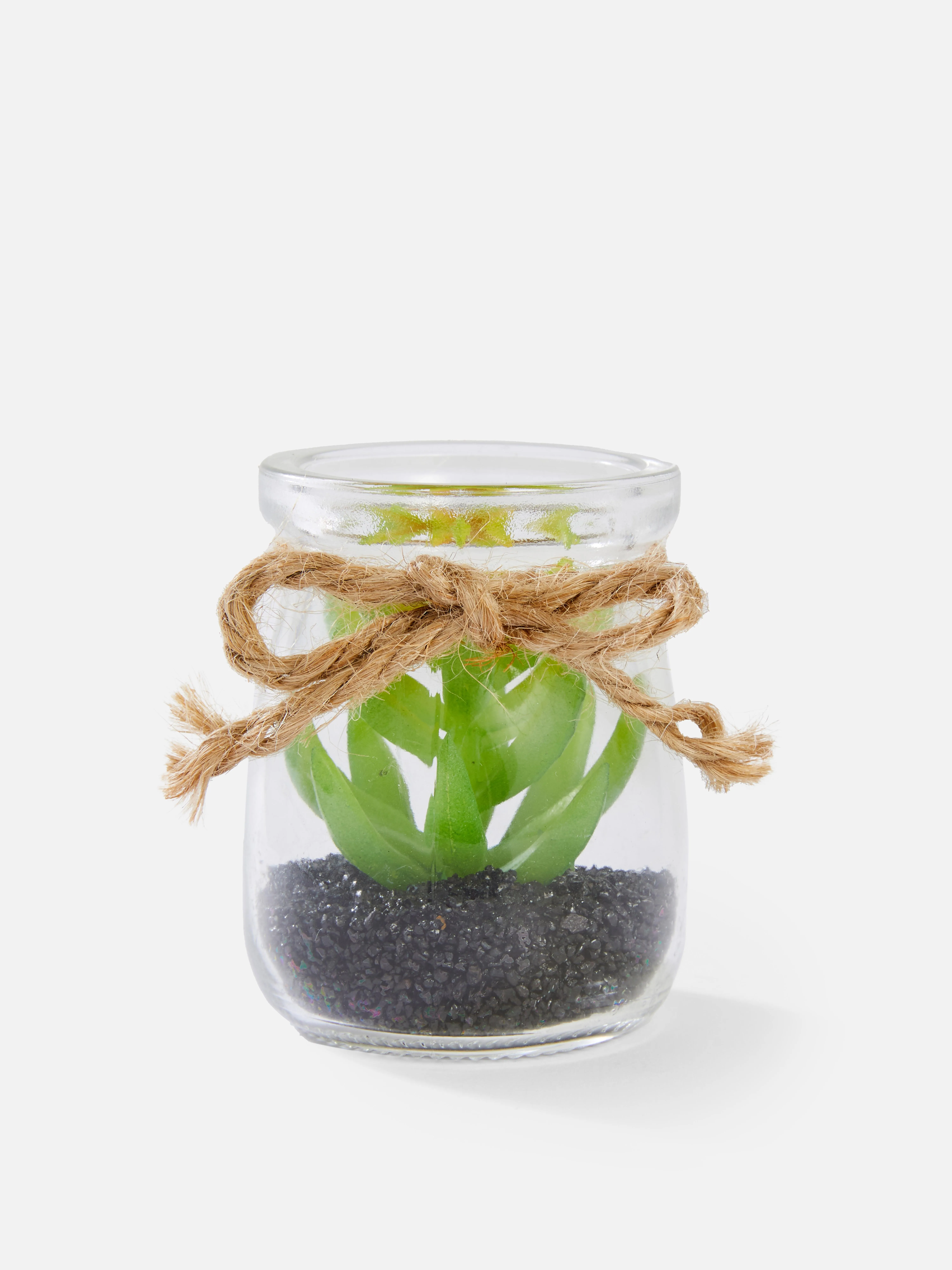 Suculentas sintéticas en miniatura en recipiente de vidrio