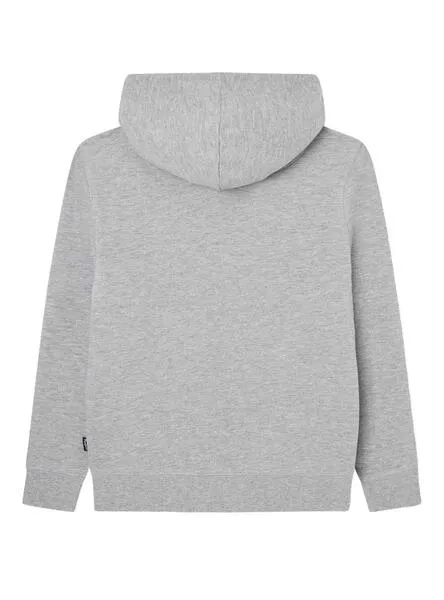 Sudadera Pepe Jeans Nate Gris Para Niño